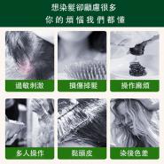 【Mini嚴選】同仁堂植物染髮膏 按壓梳頭款 多色可選